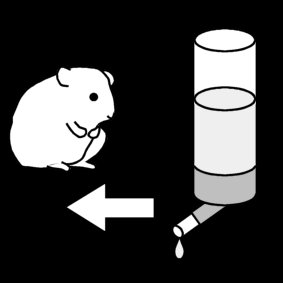 hamster water geven